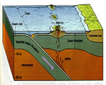 Chap 4 Plate Tectonics