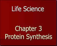 Genetics: Protein Synthesis