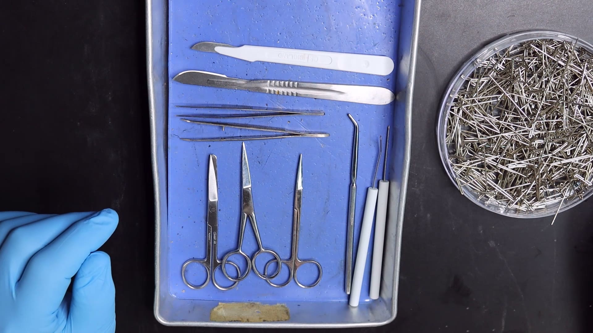 Dissecting tools
