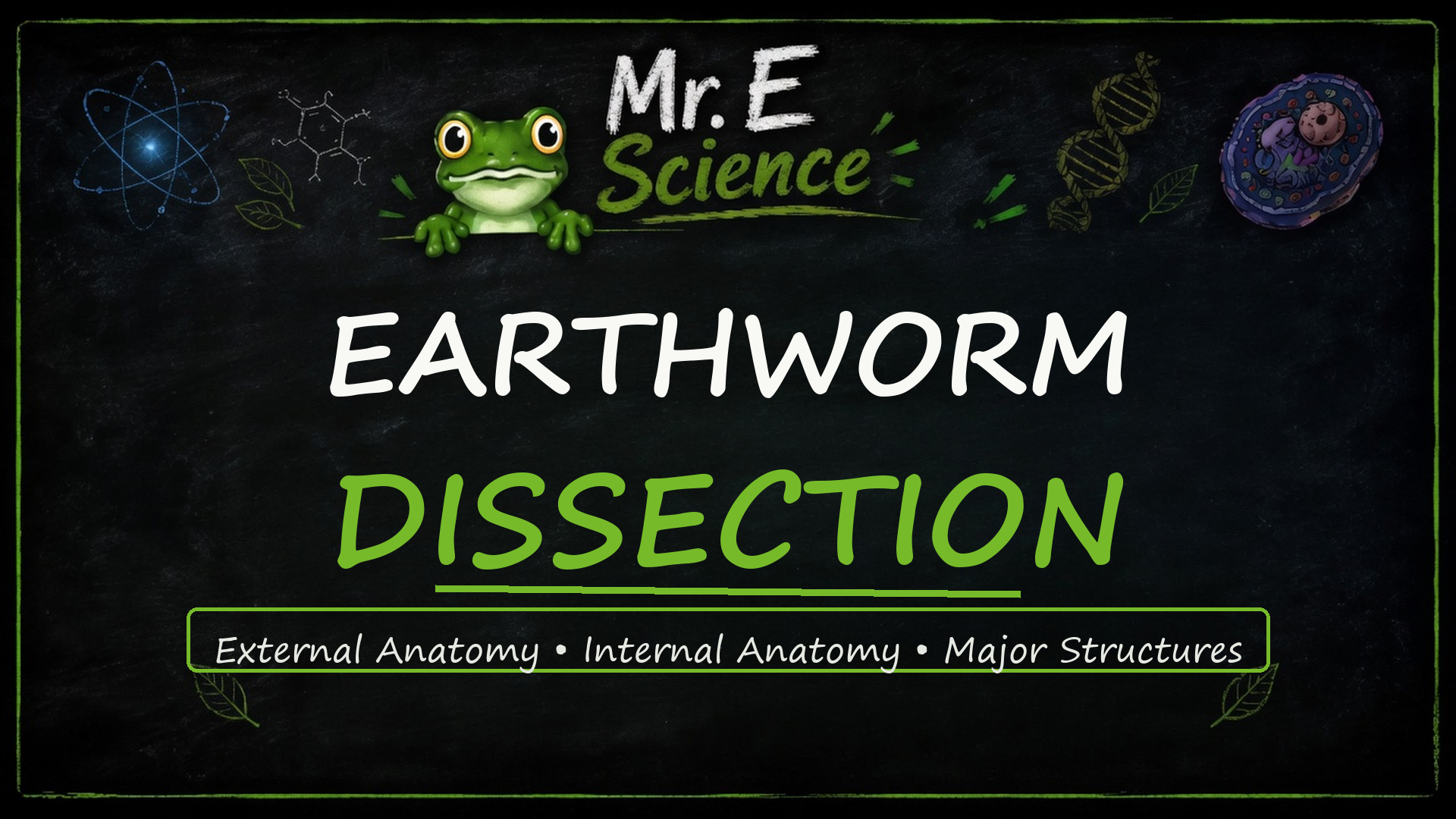 Earthworm Dissection