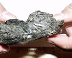 whole owl pellet