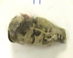 be able to identify these using the chart