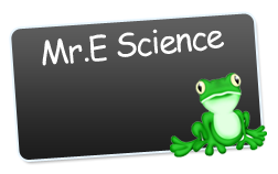 Mr.E Science Logo