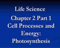 Cell Processes and Energy