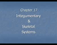 Integumentary and Skeletal